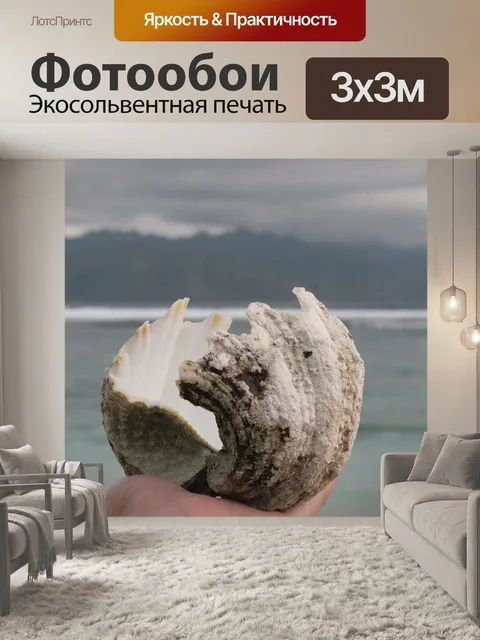 Фотообои Ракушка