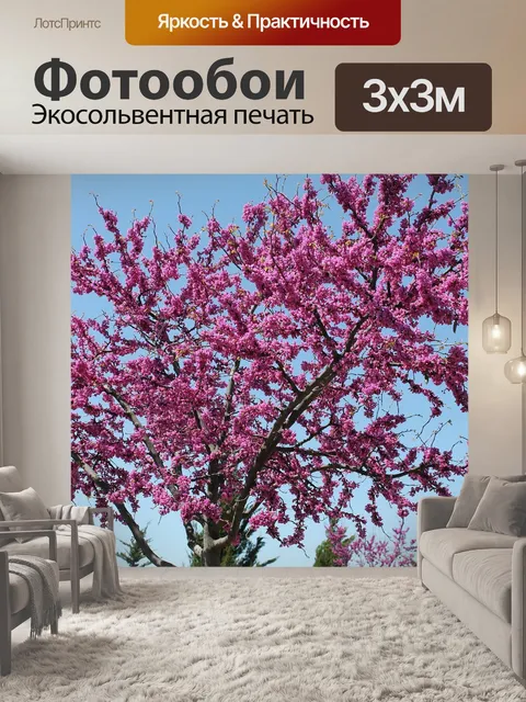 Фотообои Редбад