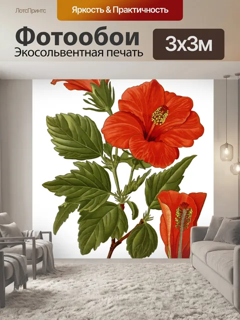 Фотообои Гибискус Роза Винтаж Иллюстрация