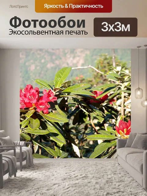 Фотообои Цветник на горе Дои Интанон