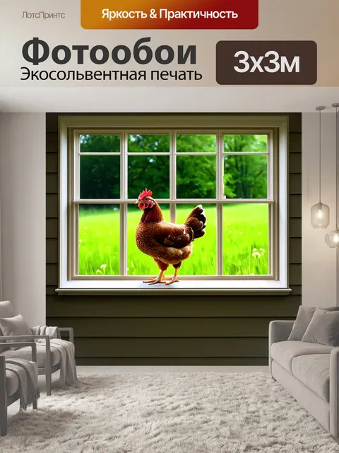 Фотообои молодая курица стоит на окне старого дома с видом на широкий зеленый луг