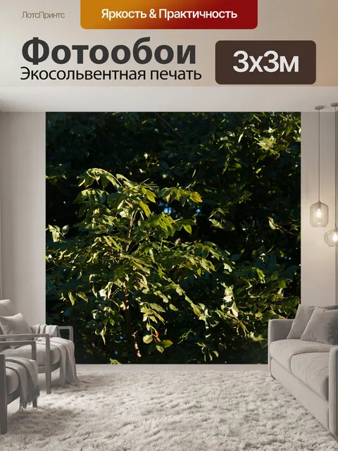 Фотообои солнечный свет на листьях мыса ясеня
