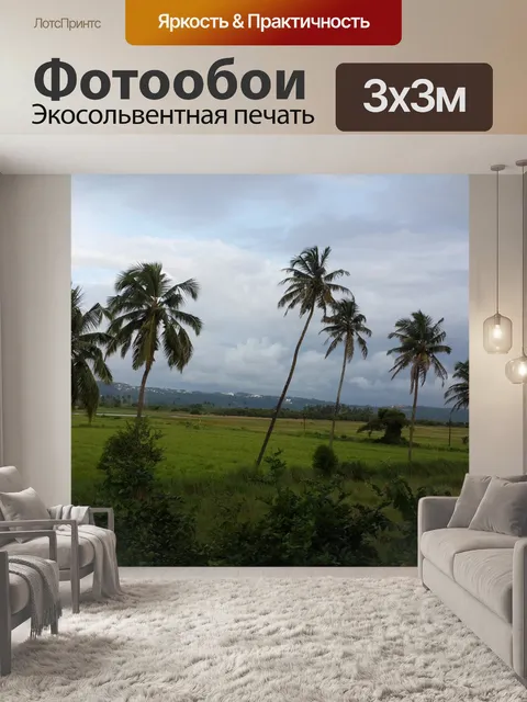 Фотообои Кокосовых пальм, деревья Пальмы