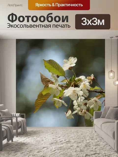 Фотообои Цветение яблони