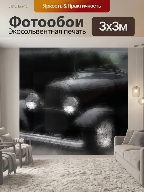 Фотообои Черный родстер