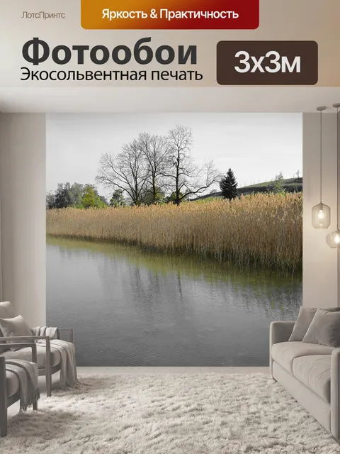 Фотообои Берег реки