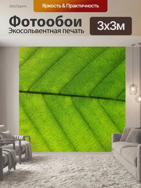 Фотообои Зеленый лист