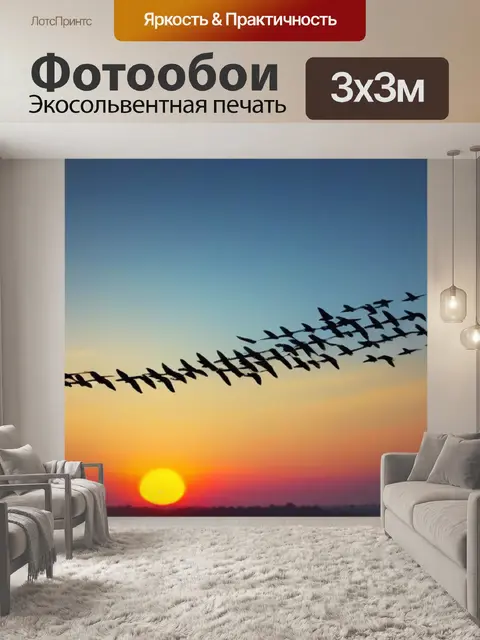 Фотообои птицы, летящие в сторону заката