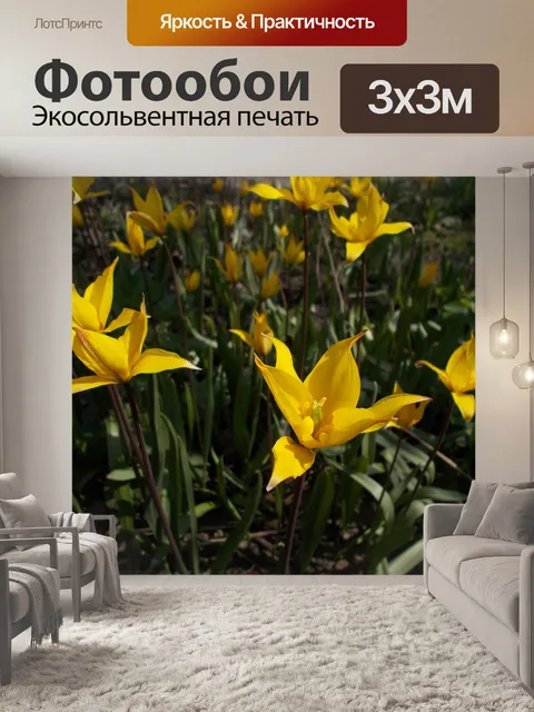 Фотообои Дача