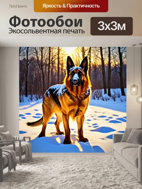 Фотообои на фоне снежного пейзажа старая немецкая овчарка стоит гордо, её шерсть покрыта легкой снежной коркой