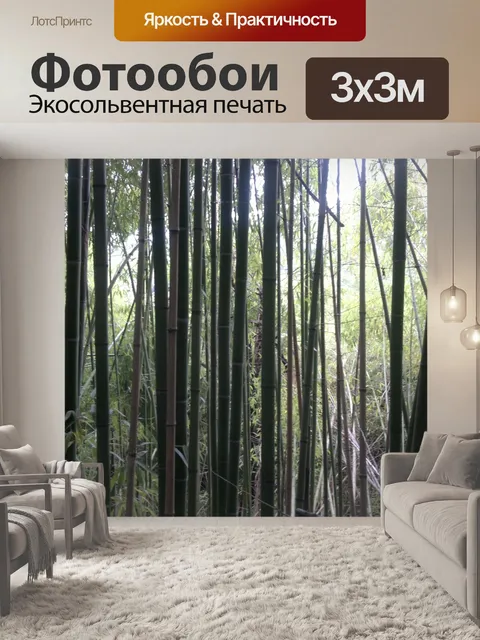 Фотообои Бамбук - Bambuseae
