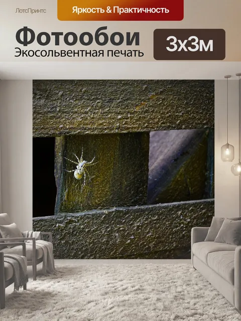 Фотообои Паук