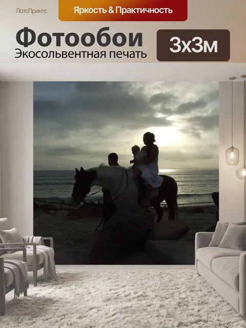 Фотообои Лошадь