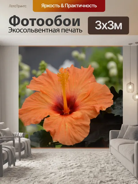 Фотообои Голландские цветы в садах 75