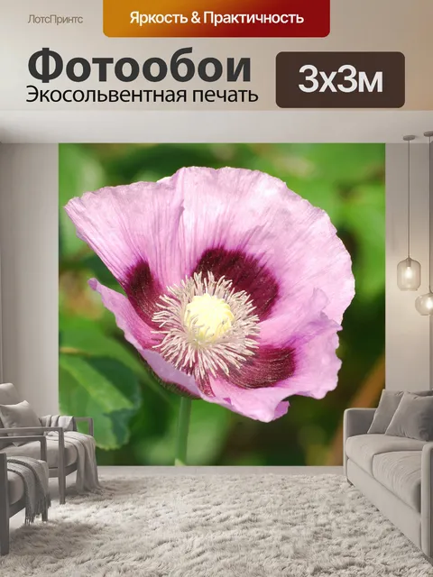Фотообои Мак