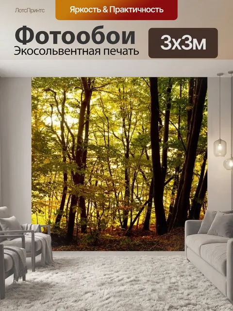Фотообои Восход солнца