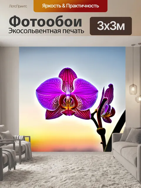 Фотообои орхидея, которая распускается в солнечном вечере, когда нежный свет заката освещает ее лепестки, созданные…