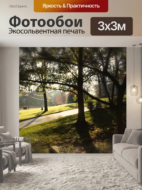 Фотообои Четкие осеннее утро