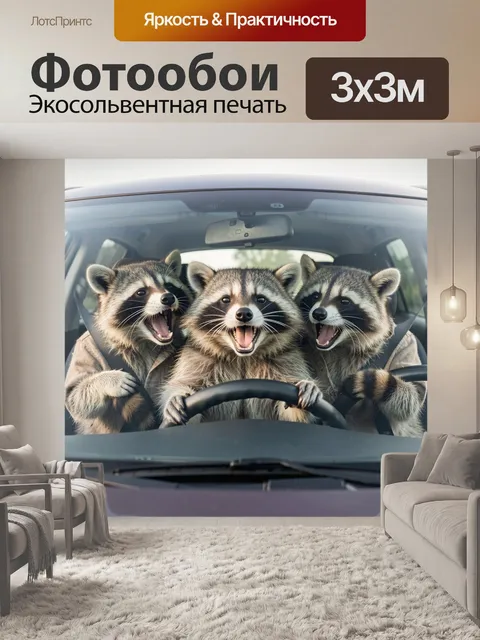 Фотообои Три енота за рулем