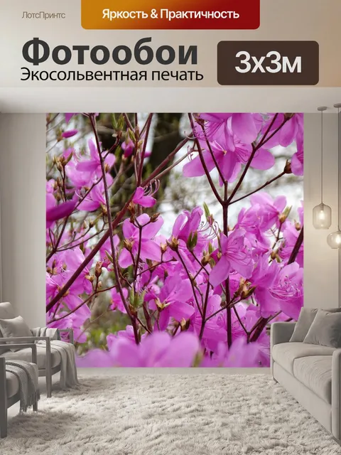 Фотообои Розовый
