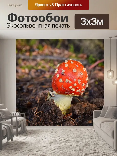 Фотообои Поганка
