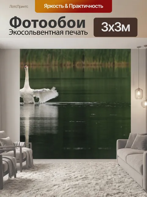 Фотообои Лебедь