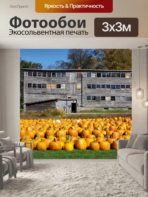 Фотообои Тыквы на продажу