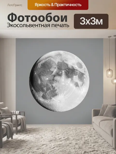 Фотообои Луна в серых тонах