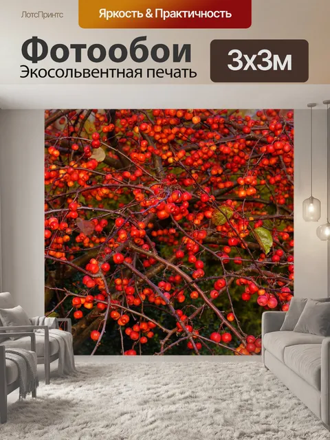 Фотообои Ягода