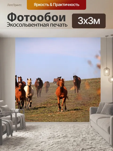Фотообои приближается к стаду лошадей
