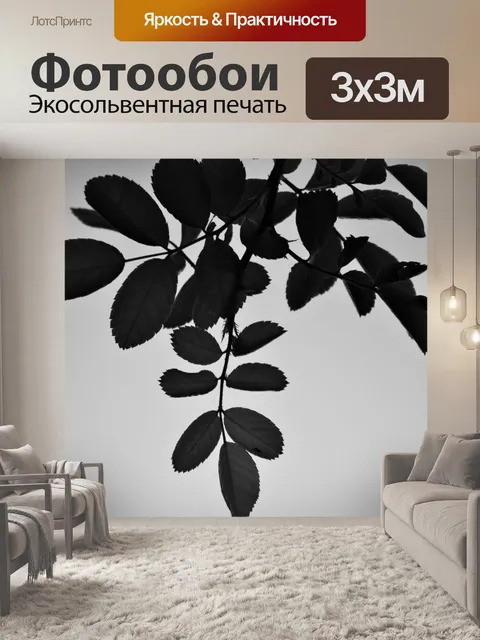 Фотообои Розовый куст листья на небо в б & W