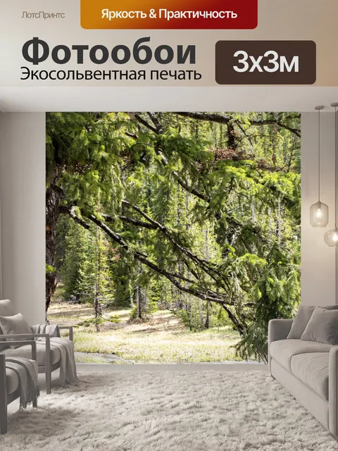Фотообои Лесные деревья