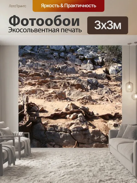 Фотообои Rocky road