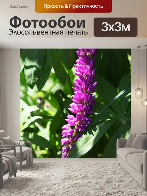 Фотообои Летние цветы