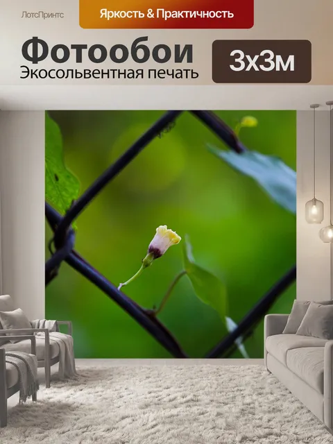 Фотообои Цветок