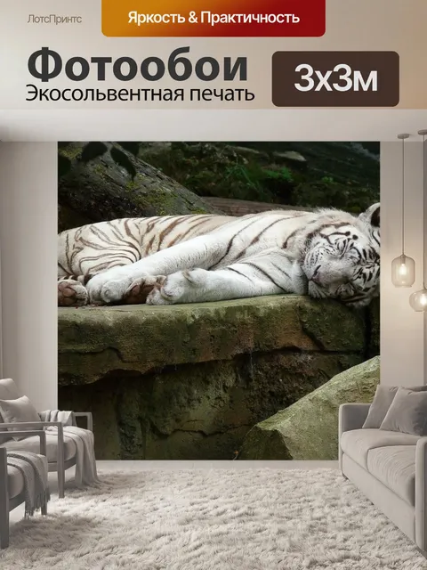 Фотообои Белый тигр