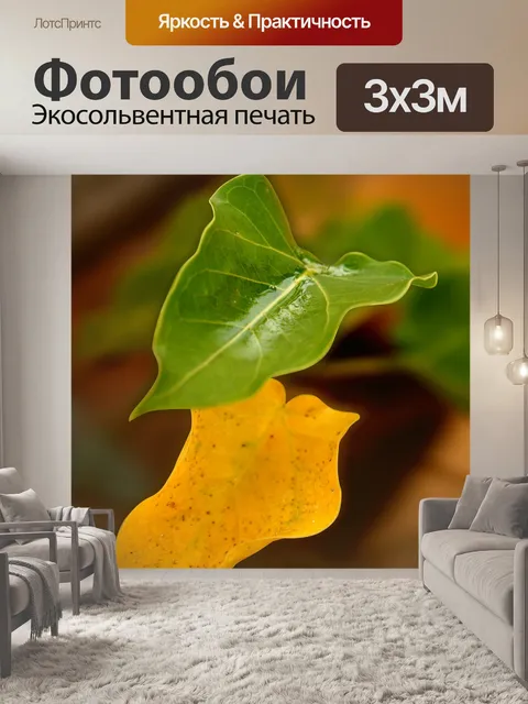 Фотообои Задний план