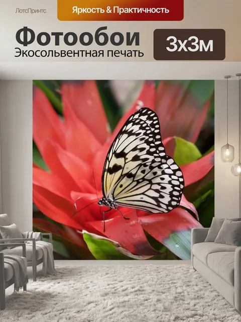 Фотообои Бабочка