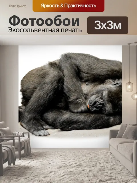 Фотообои Изолированные