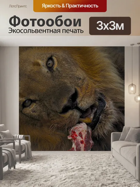Фотообои Лев