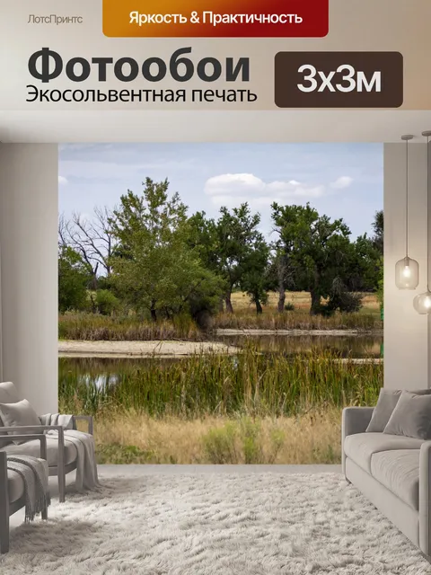 Фотообои Деревья на болотах