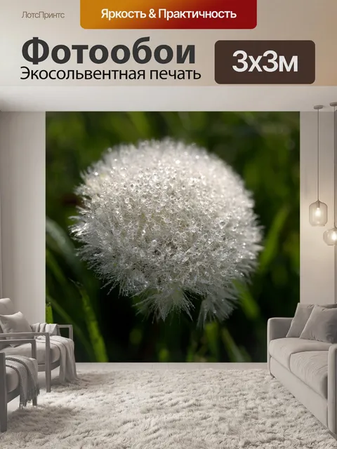 Фотообои Одуванчик