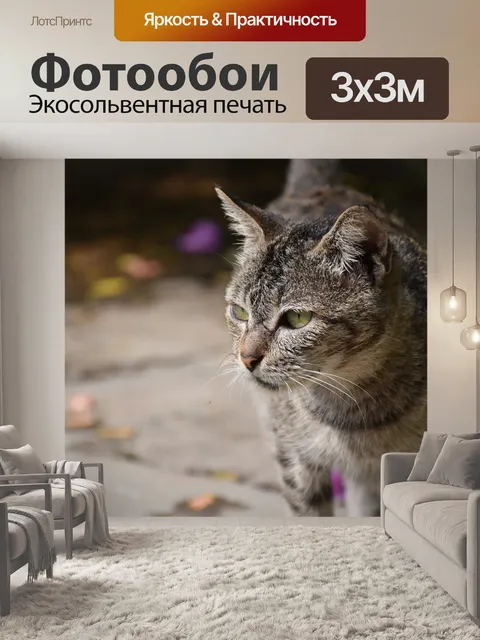 Фотообои Кошка