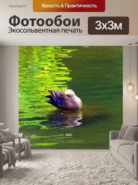Фотообои Пруд