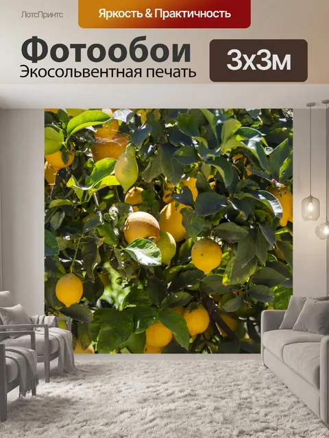 Фотообои лимоны