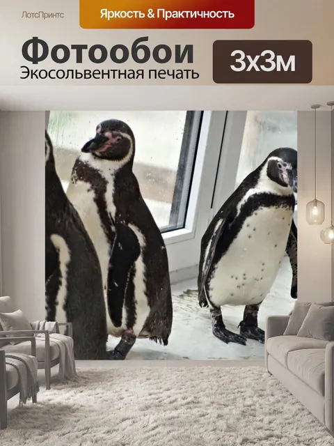 Фотообои Четыре Пингвины
