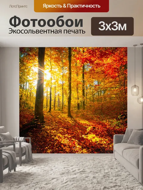 Фотообои лес с яркими осенними листьями и солнечными лучами, пробивающимися сквозь листву