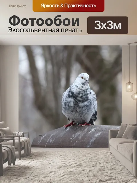 Фотообои Птица