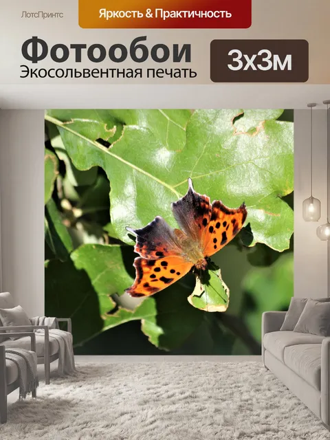 Фотообои Вопрос Марк Баттерфляй на листе
