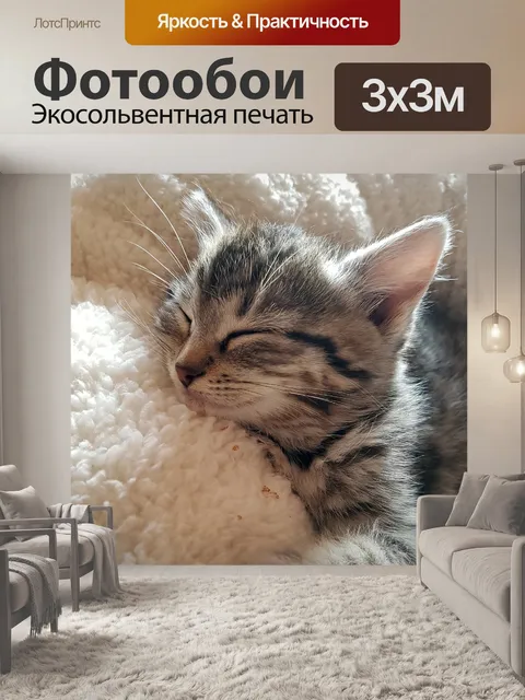 Фотообои Котенок